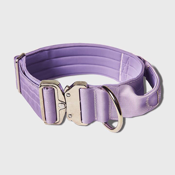 Spark Paws - Wholesale Pet Collar - Dog - Tactical Dog Collar - Lilac (2"/5cm)1