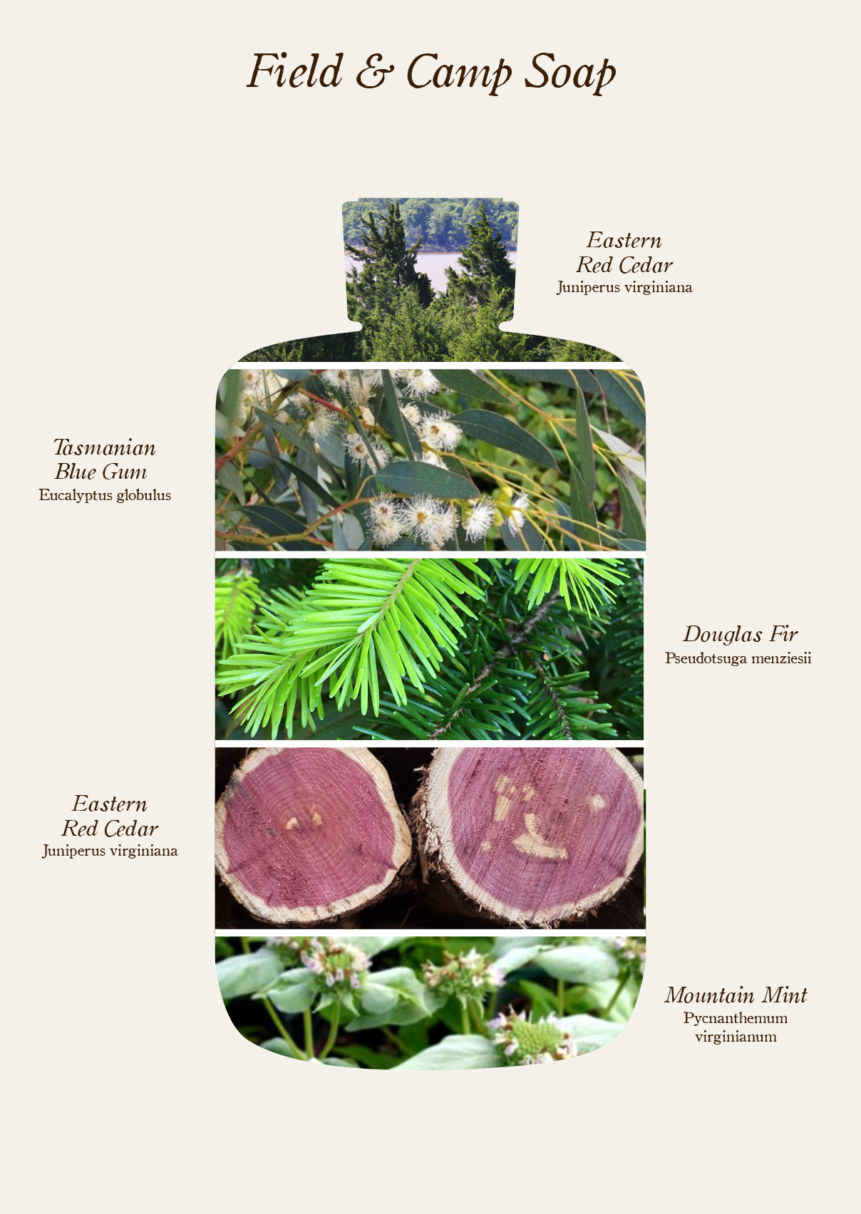 Barnaby Black - Wholesale Body Wash/Shower Gel - Field & Camp Soap2