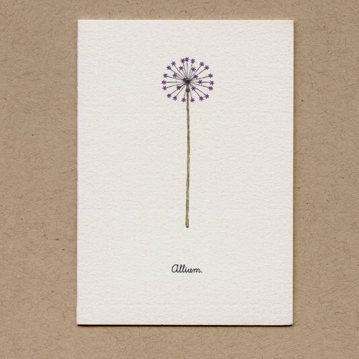 Beth Mueller - Wholesale Everyday Greeting Card - Allium-Greeting Card.