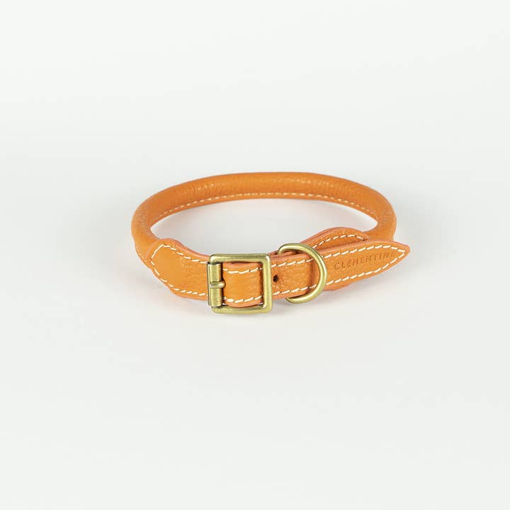 Sitwell Collar - ORANGE, Medium for wholesale by Clementine est dogs