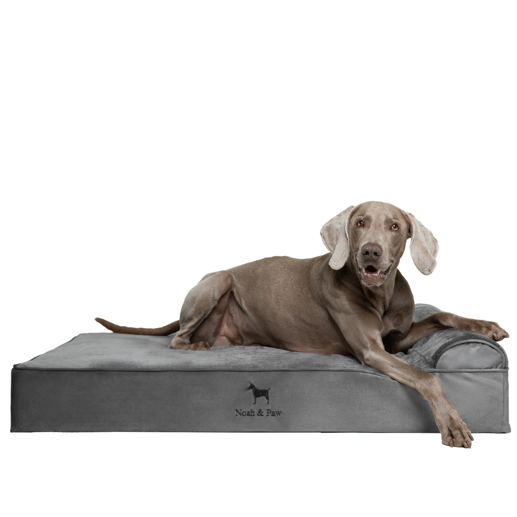NOAH AND PAW LLC - Wholesale Bed voor huisdieren- Kat/hond - Fluwelen orthopedisch huisdierbed, traagschuim, doordrenkt met verkoelende gel - Klassiek10