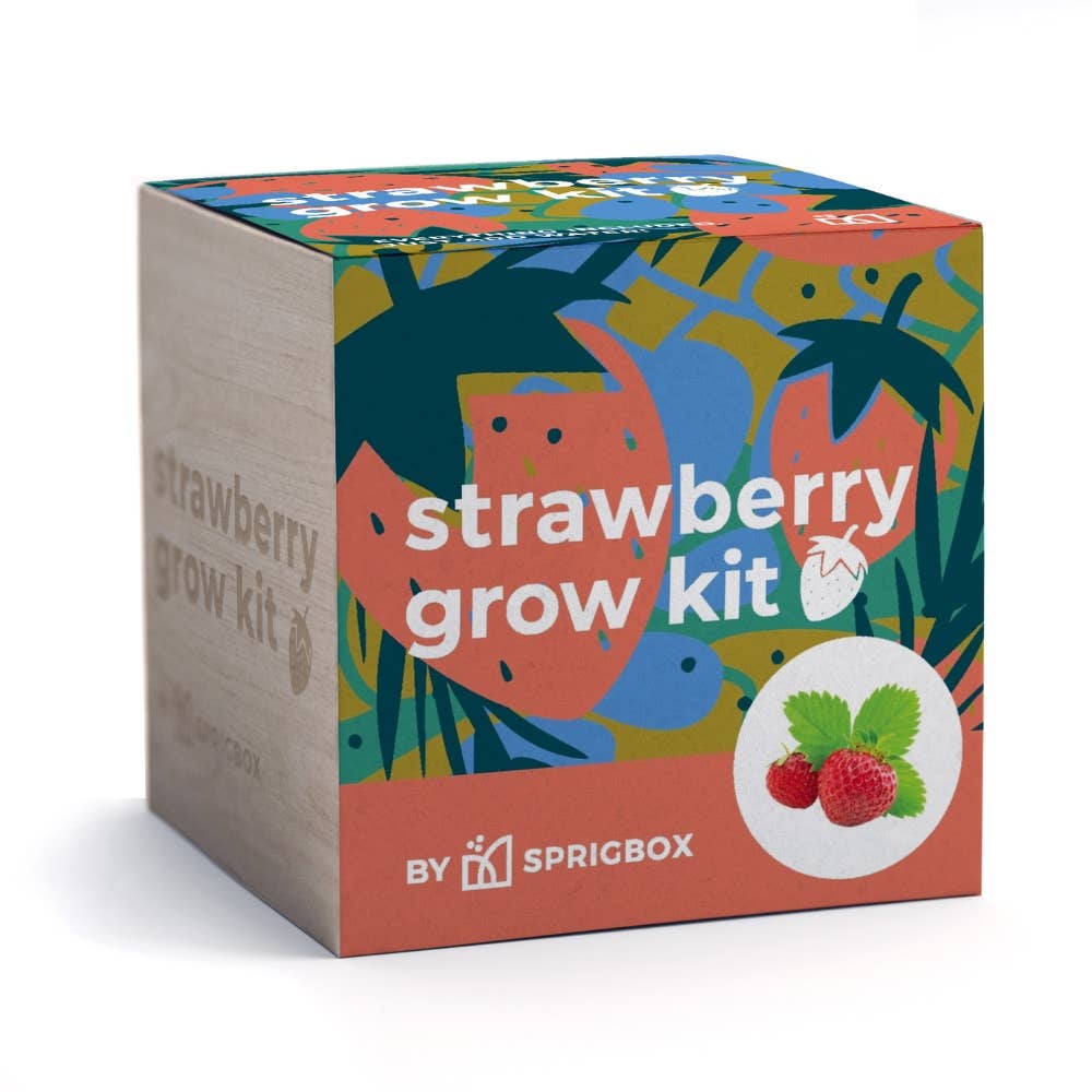 Sprigbox - Wholesale Plant Seeds - Strawberry Grow Kit | Wooden Planter Box | Fruit Gardening