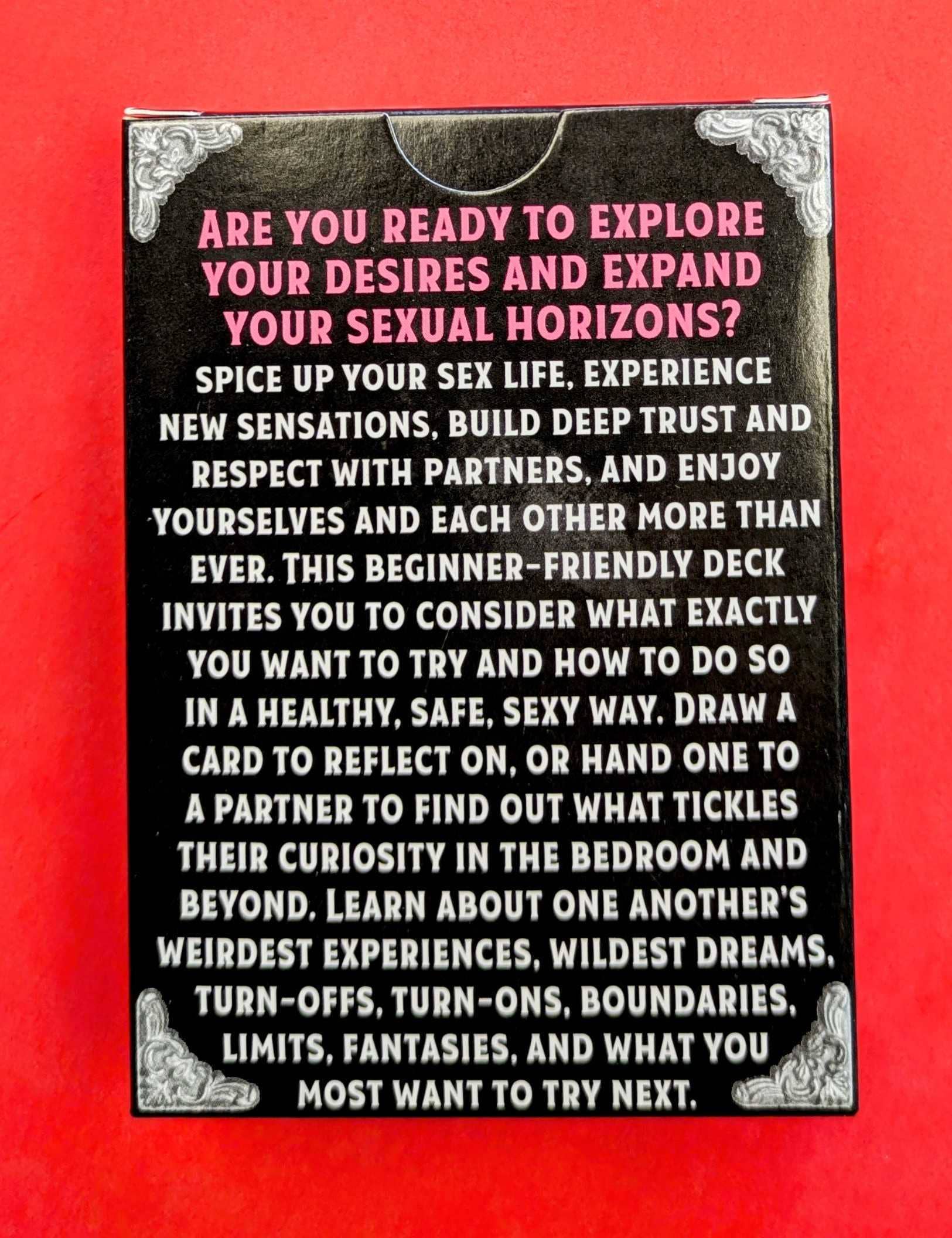 Microcosm Publishing & Distribution - Wholesale Card Game - Kinky Conversation Deck: What Turns You On?2