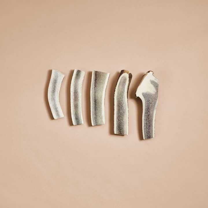 CANOPHERA GmbH - Wholesale Pet Chew Toy - Dog - Dog Chew Made Of Red Deer Antler Splits.6