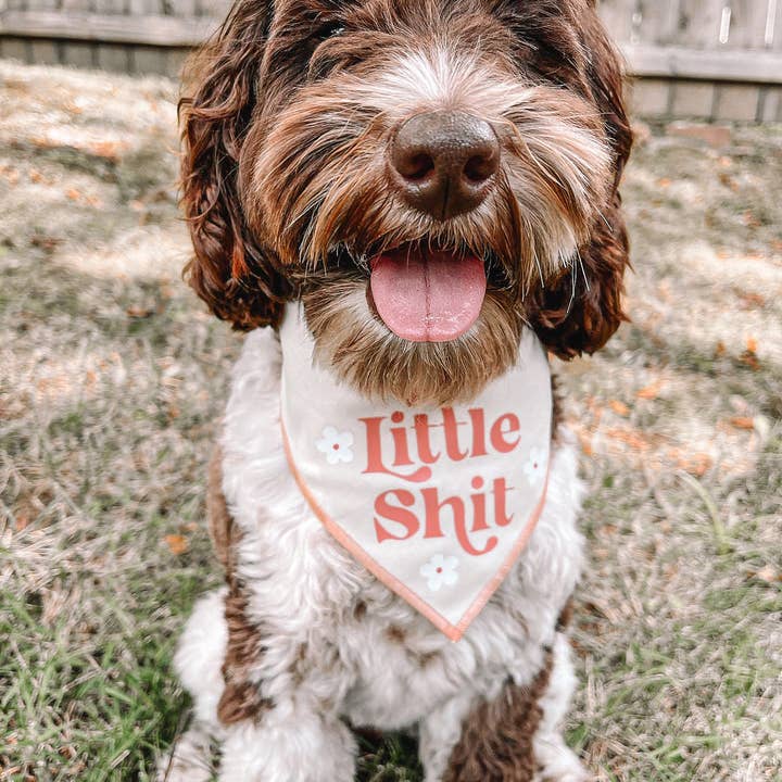 Boneyard Co. – wholesale Pet bandana – Dog – "Little Sh*t" Funny Sassy Dog Bandana, unique dog mom gifts3