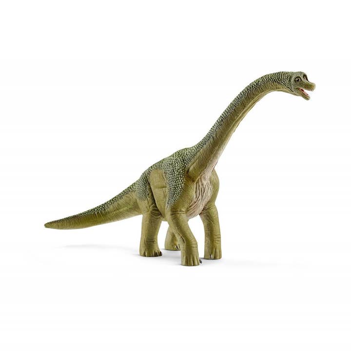 Schleich - Wholesale Figurine Toy - Kids - Brachiosaurus Realistic Dinosaur Toy