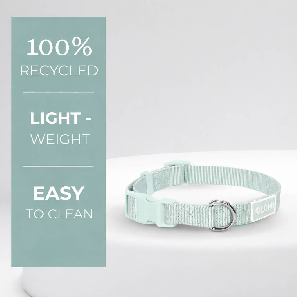 LOMI Pet Care - Wholesale Pet Collar - Dog - DOG COLLAR - ECO