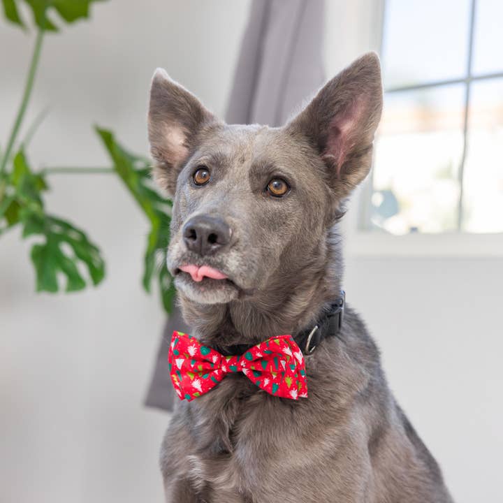Huxley & Kent - Wholesale Pet Bow Tie - Cat/Dog - Christmas Trees Bow Tie