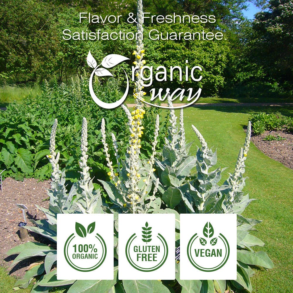 Organic Way LLC – wholesale Herbs – Mullein Leaf Powder (Verbascum thapsus) - European Wild-Harvest | Kosher Certified | Vegan, Non GMO & Gluten Free | USDA Certified | Origin - Albania2