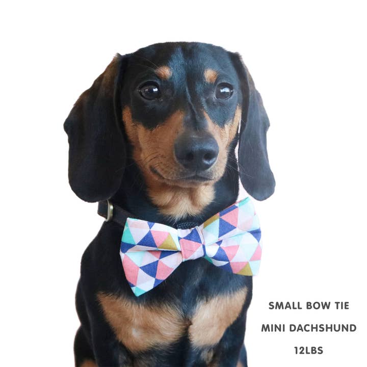 Winthrop Clothing Co. - Wholesale Pet Bow Tie - Dog - Horseshoe Dog Bow Tie2