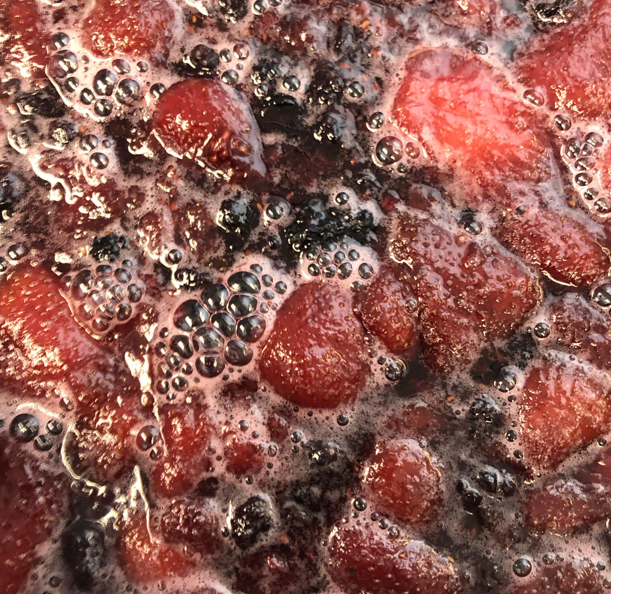 Josephine's Feast - Wholesale Preserves - AA Best Seller - Four Berry Preserves8