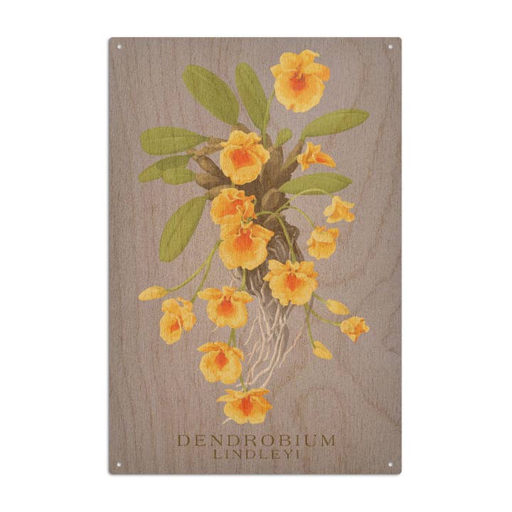 Lantern Press - Wholesale Wood wall art - WOOD SIGN ART Dendrobium lindleyi Orchid Vintage Flora8