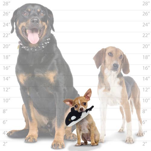 Tuffy Dog Toys - VIP Products - Wholesale Pet squeaky toy – Dog - Mighty Jr Ocean Whale, Plush, Squeaky Dog Toy4