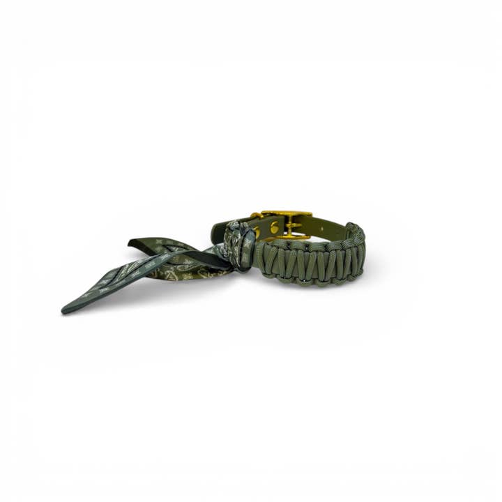 Krage Florian för wholesale av Marley and Me