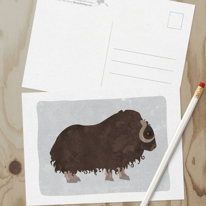 Wren and the Raven - Wholesale Postcard - Alaska Wildlife Series Postcards4