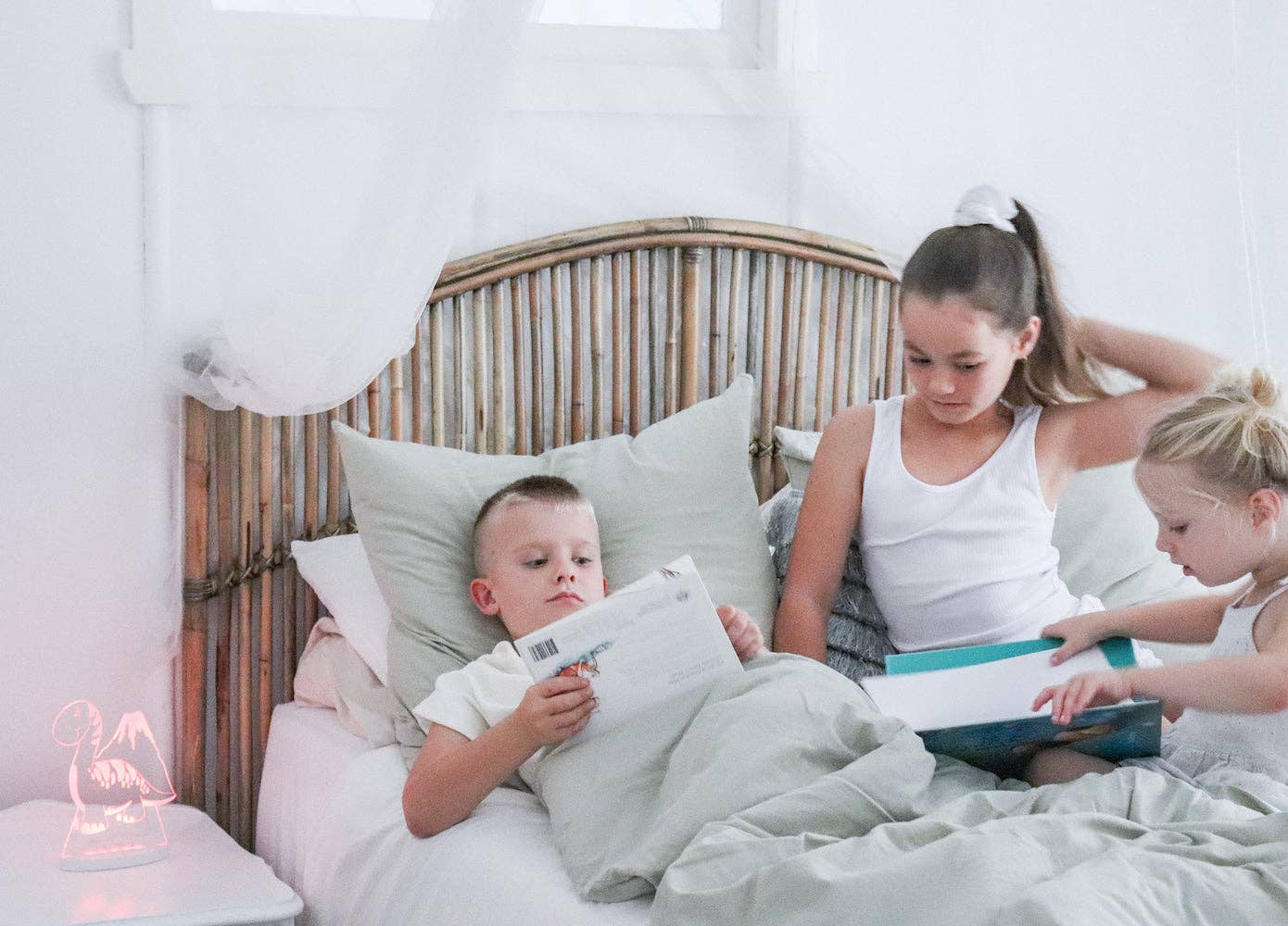 Luminous Distribution - Wholesale Night Light - Kids & Baby - Duski Dream Light LED Night Light - Dinosaur - PLUG IN8