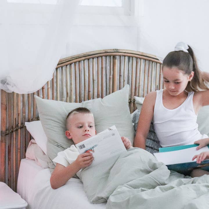 Luminous Distribution – Großhandel Nachtlicht – Kinder & Baby – Duski Dream Light LED-Nachtlicht - Dinosaurier - Plug in8