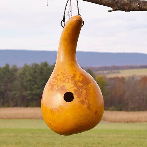 Cabin Birdhouse - Yellow for wholesale by Meadowbrooke Gourds