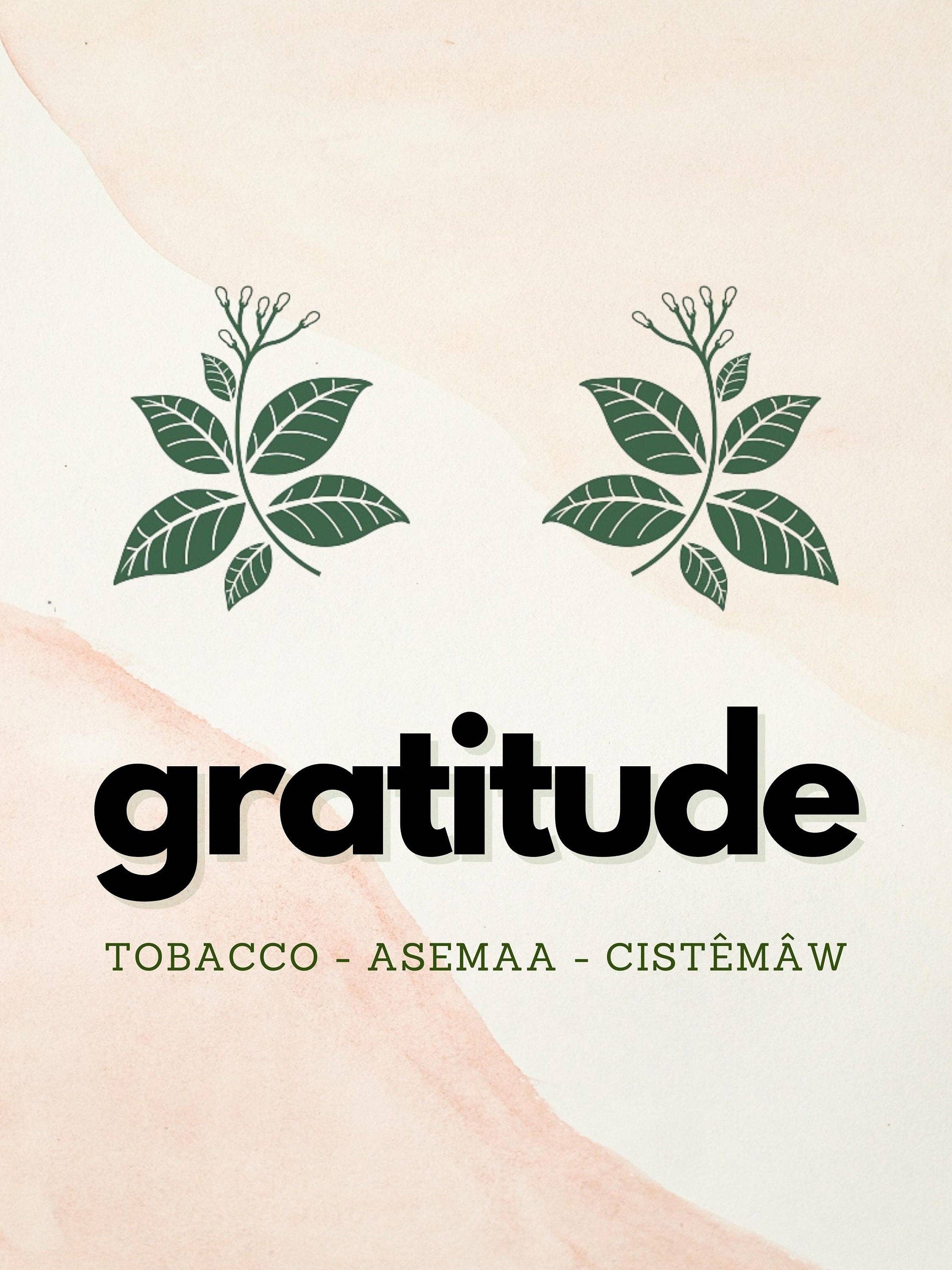 Eagle Woman Prints - Wholesale Art Print - Four Sacred Medicines Art Work - Four Piece Set3