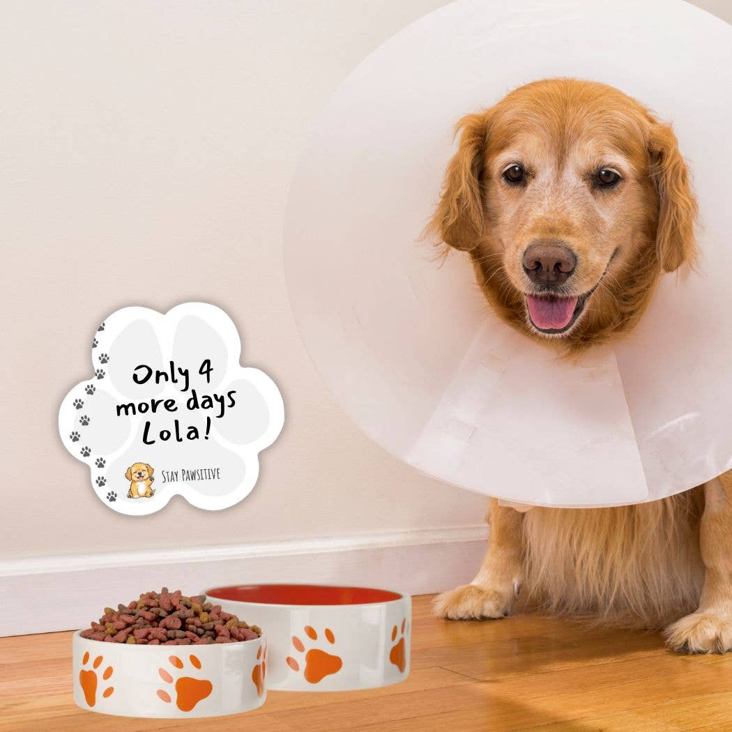 Post-it® Notes Design Series - Vendita all'ingrosso Post-it - Note adesive Post-it® impronta di zampa - Cucciolo - Nota adesiva "Stay Pawsitive"1