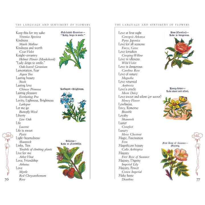 Applewood Books - Wholesale Reference - The Language and Sentiment of Flowers4