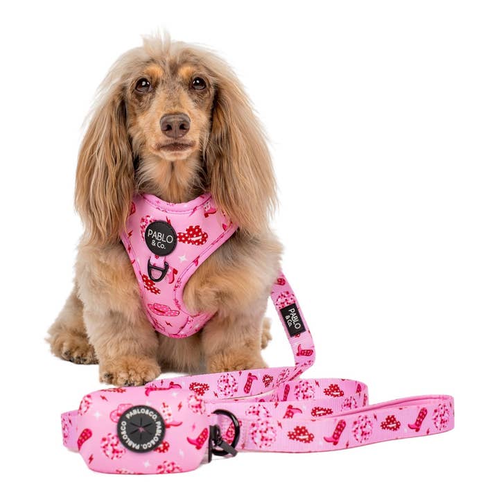 Pablo & Co. Boutique - Wholesale Pet Poop Bag Dispenser - Disco Cowgirl - Dog Poop Bag Holder