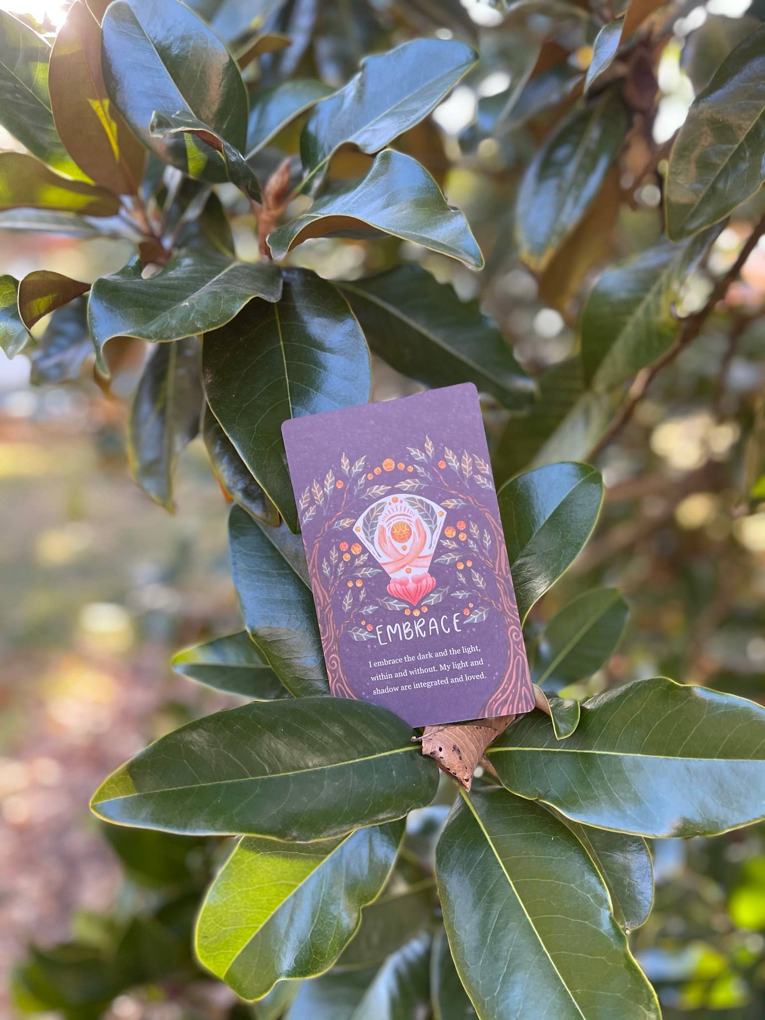 Trace Femcare, Inc. - Wholesale Tarot Cards - Kinship Affirmation Card Deck, Limited Edition6