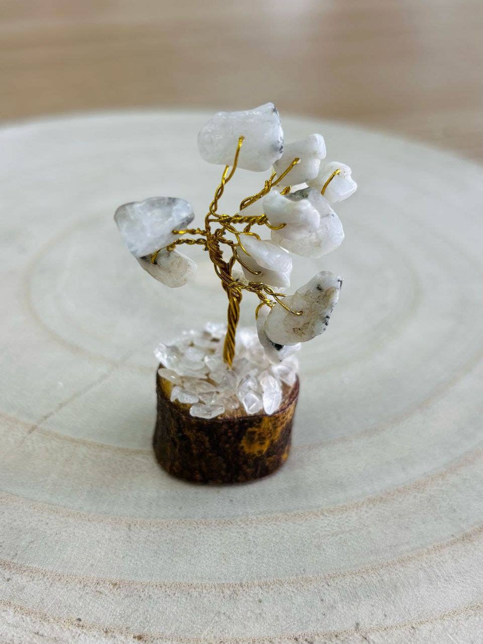 Hecho a mano - Wholesale Decorative Tabletop Object - Trees.Decorative items8