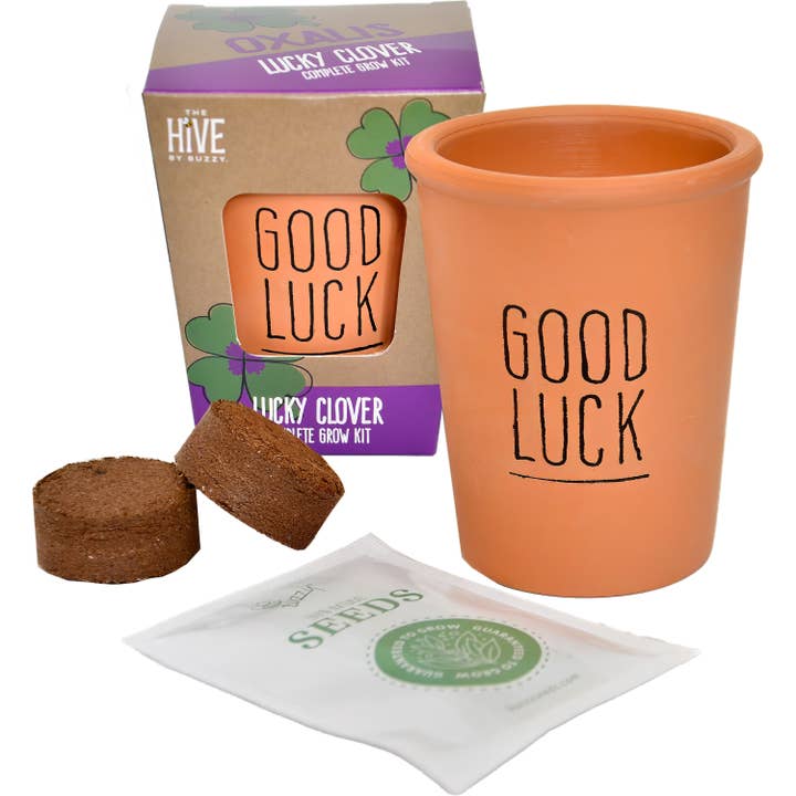 Buzzy Grow Gifts - Wholesale Plant Seeds - Inspirational Lucky Clover Complete Grow Kit – Gift Set1