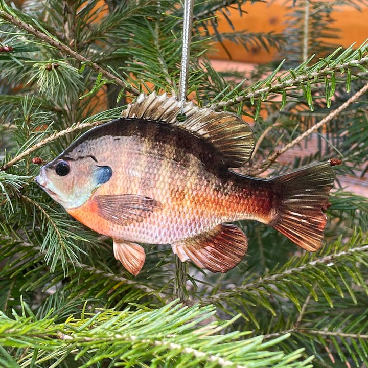 Bluegill Fish Ornament, Christmas Bluegill Fish Ornaments for wholesale by Reelistic Replicas