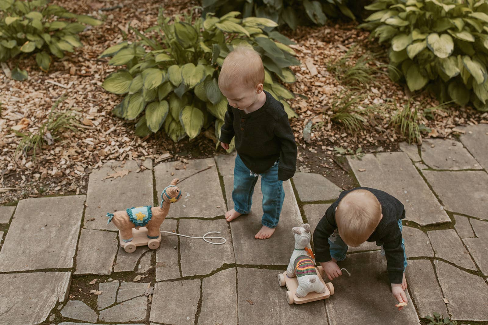 Pebble - Wholesale Wood Toy - Kids - Handcrafted Wooden Toy with Blue Horse Plush – Organic3