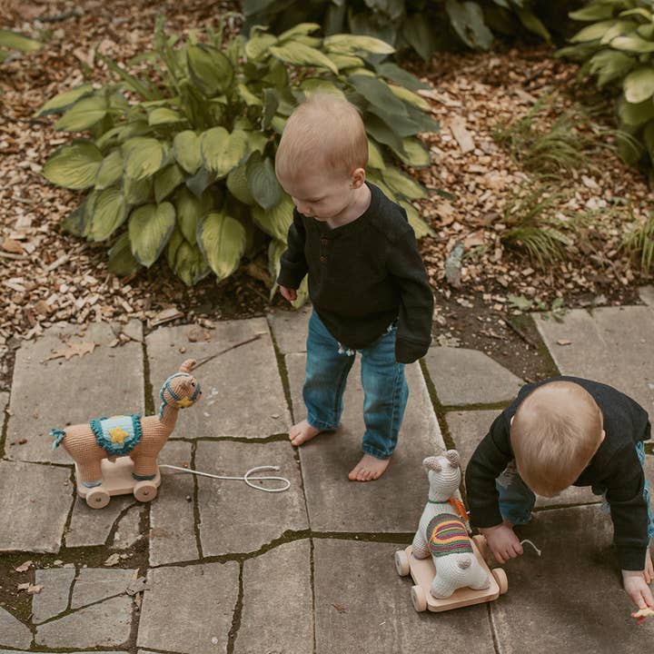 Pebble - Wholesale Wood Toy - Kids - Handcrafted Wooden Toy with Blue Horse Plush – Organic3