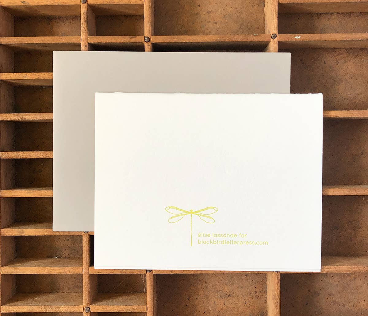 Blackbird Letterpress - Wholesale Birthday Card - insects birthday card3