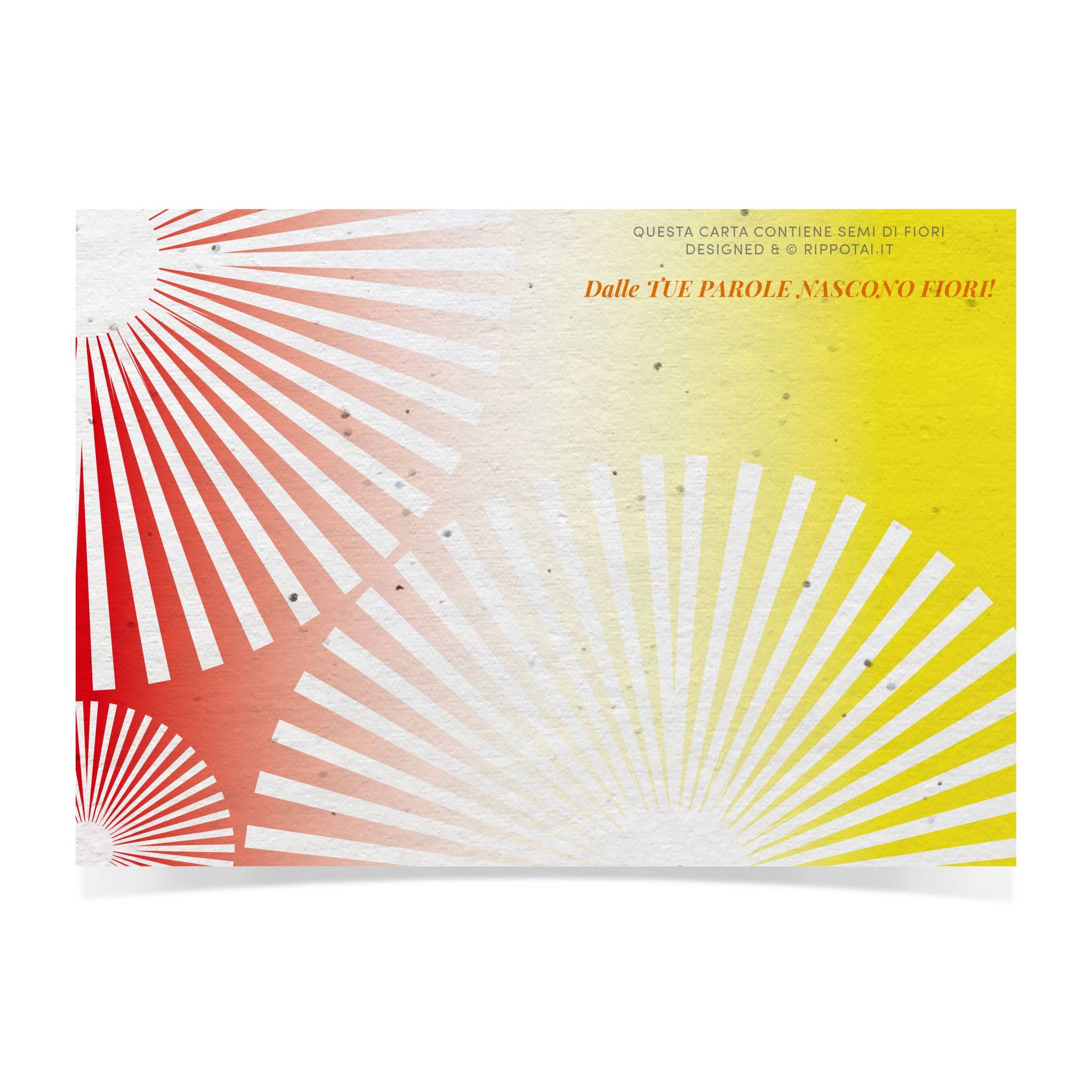 Rippotai - Wholesale Stationery/Notecard Set - Kit of 4 greeting cards and 1 bookmark in semi paper - New Romantic7