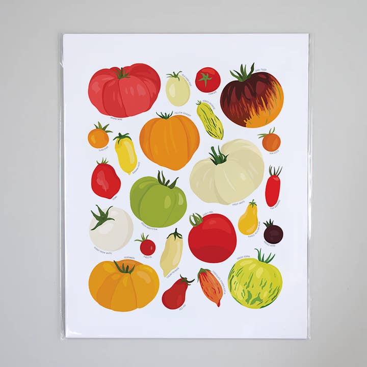 Types of Tomatoes - Educational Nature Art Print for wholesale by Beehive 95 Designs