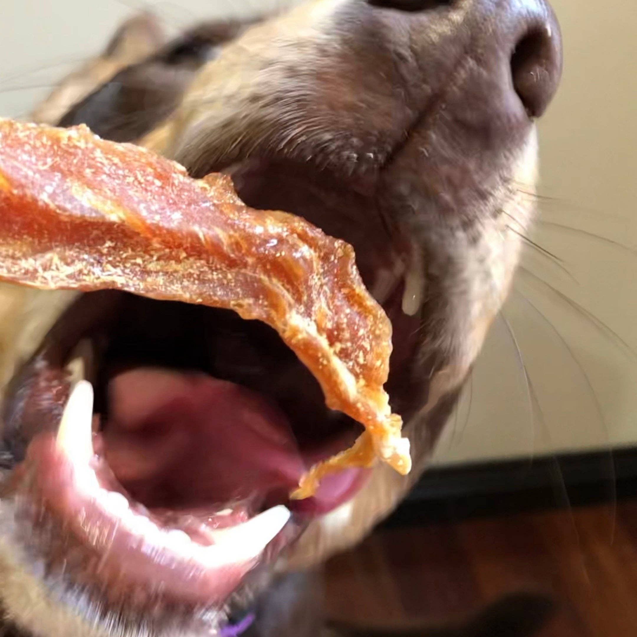 Rover Pet Products - Wholesale Pet Treats - Dog - Roast Chicken Dinner - Chicken Breast Jerky4