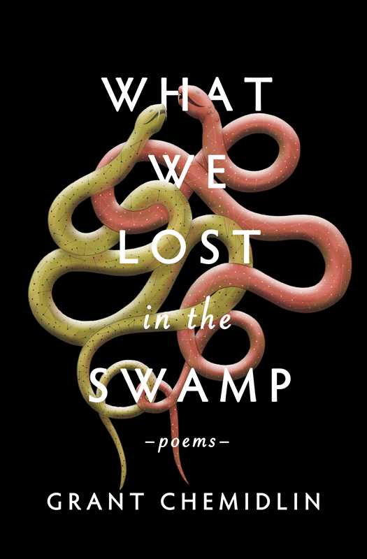 Simon & Schuster - Wholesale Poetry & Drama - What We Lost in the Swamp by Grant Chemidlin0