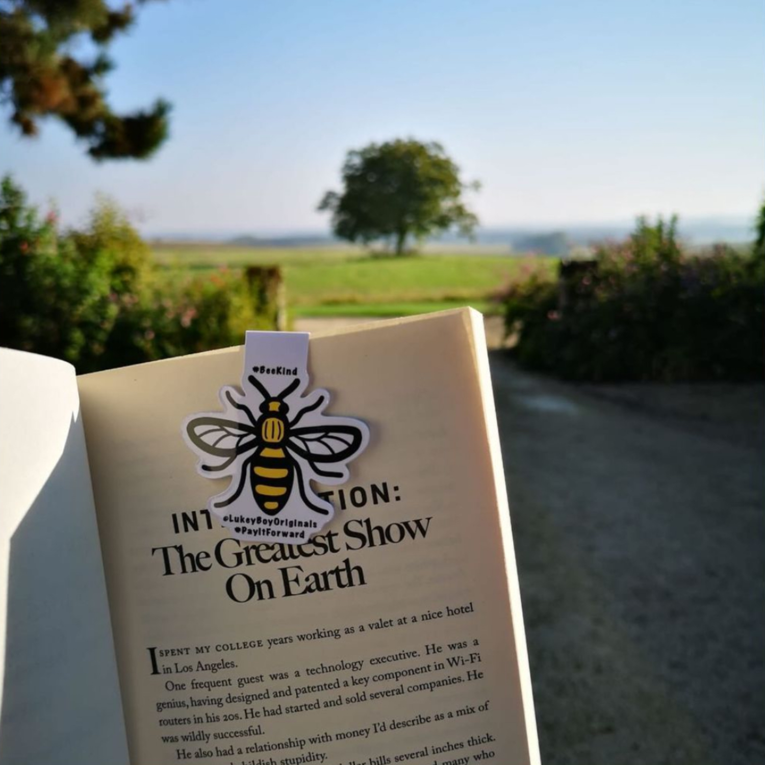 Stickiply – wholesale Craft supplies – Self Adhesive Round Magnets (1mm)4