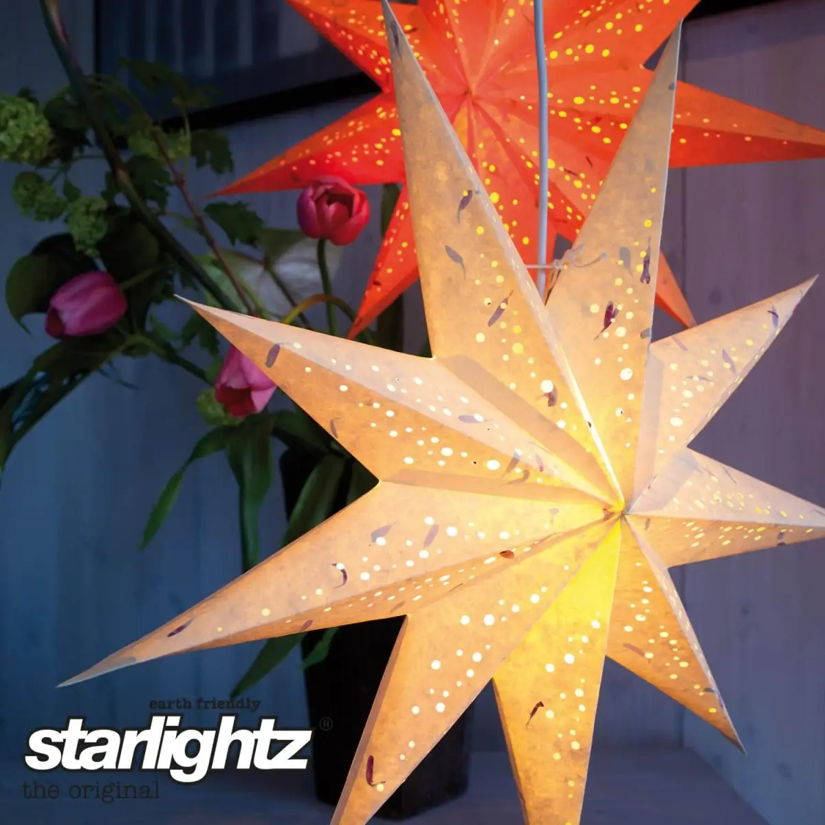 Mea-Living - Wholesale Christmas Decoration - Starlightz Spumante with orange2