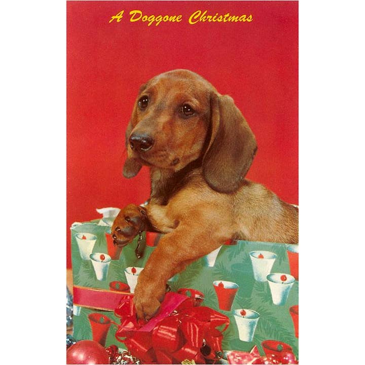 Greeting Card MC-147 A Doggone Christmas, Dachshund for wholesale by Found Image Press