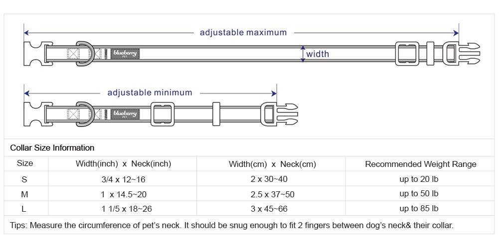 Blueberry Pet - Vente Collier – chien - Collier de sécurité rembourré en néoprène souple réfléchissant 3M37