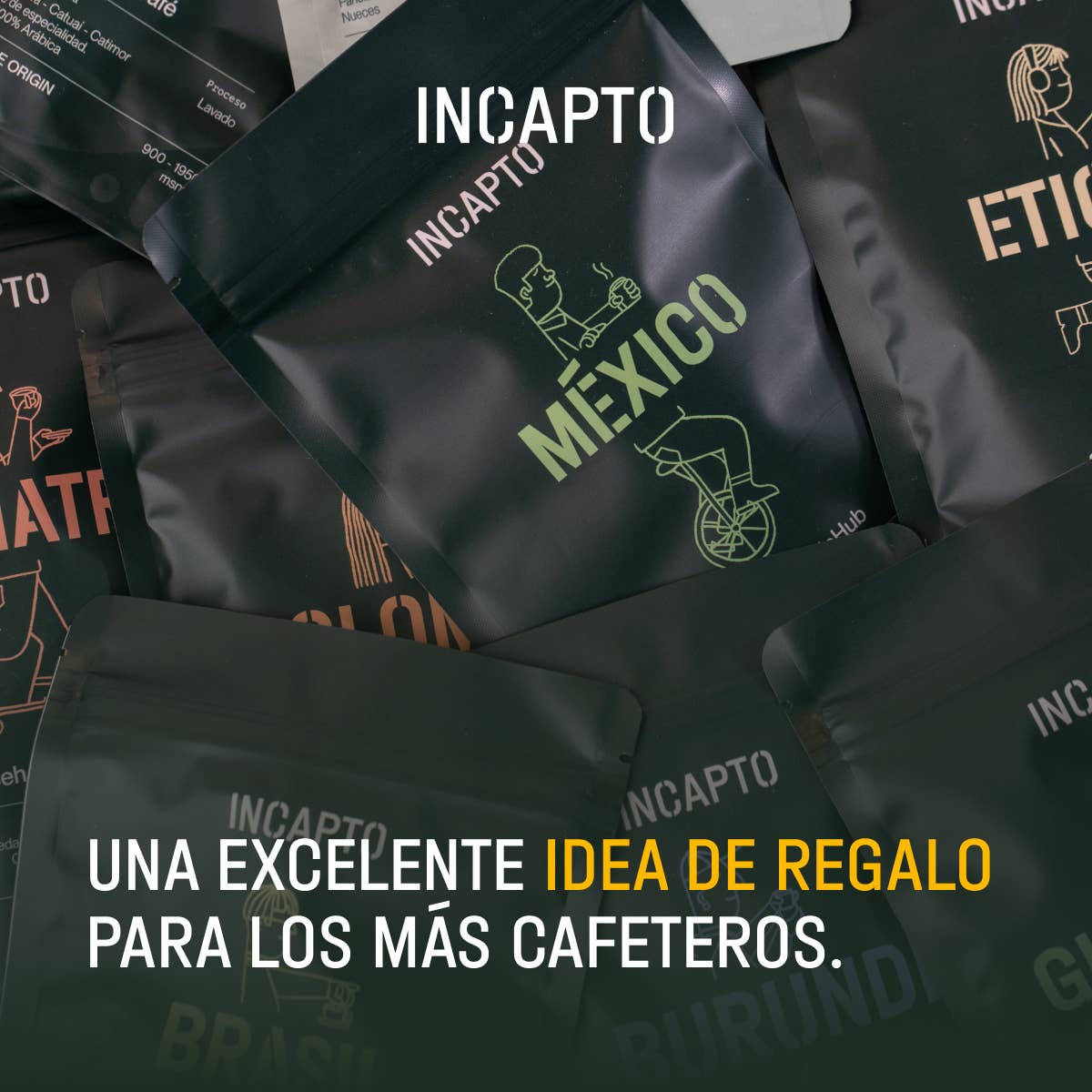 INCAPTO COFFEE - Wholesale Coffee Beans - Specialty Bean Coffee - WORLDWIDE Tasting Pack3
