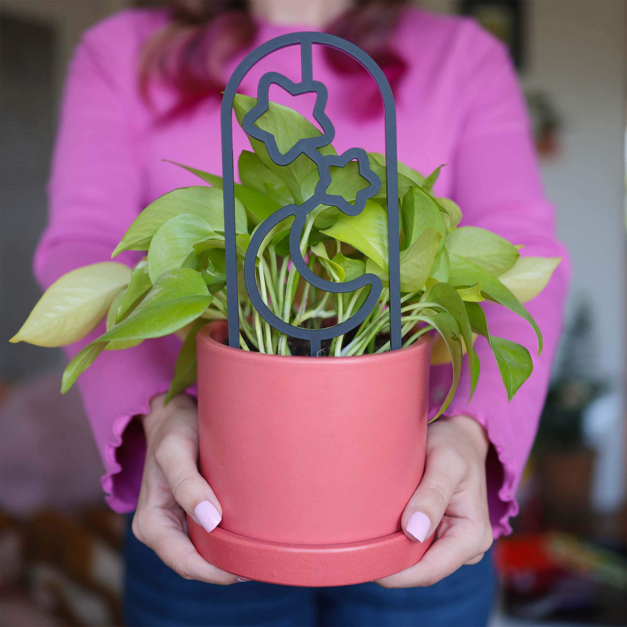 Verdant Moon - Wholesale Trellis - Moon and Stars — Acrylic Trellis (Plant Stake Support) — Clear, Black1