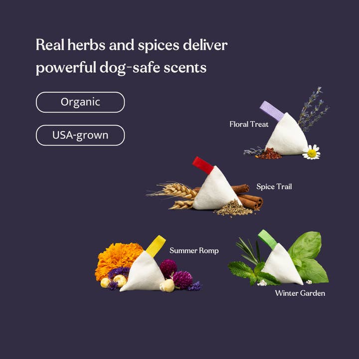 Longsock - Wholesale Pet Toy - Dog - Longsock Scent Refill5