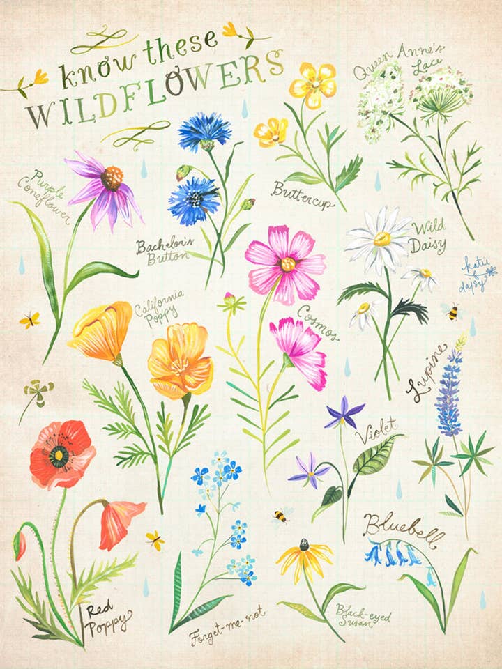 Kennen Sie diese Blumen-Druck für den Großhandel von Katie Daisy