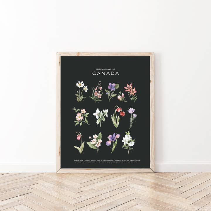 Natasha Vanderburg Co. - Wholesale Art Print - Official Flowers of Canada Art Print2
