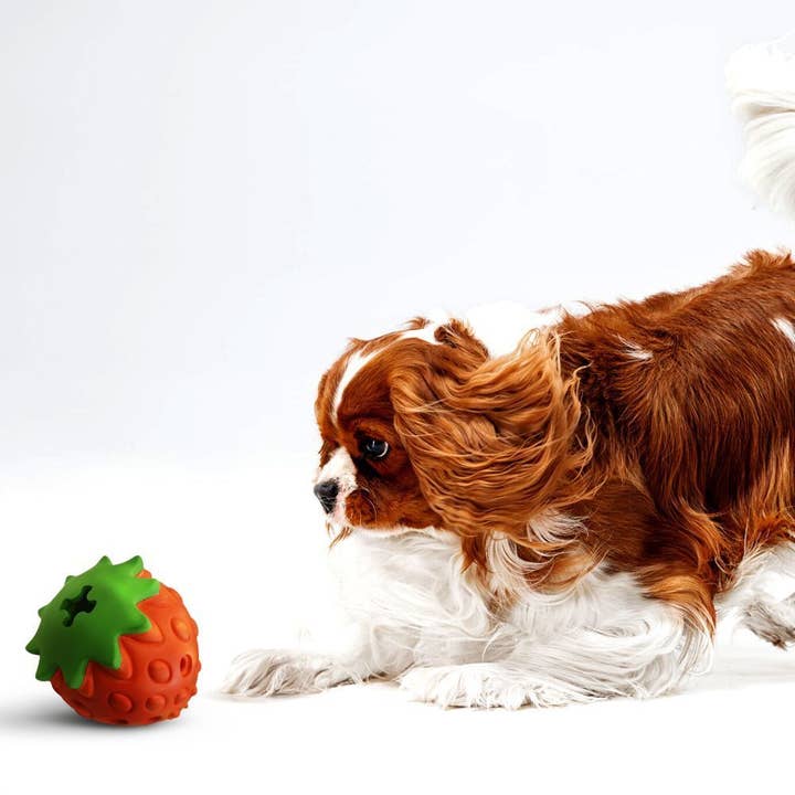 Croci S.p.A. - Wholesale Pet Chew Toy - Dog - Dog game - Panton Strawberry - Crosses1