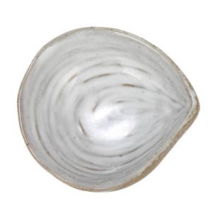 Wholesale shell dish for your store