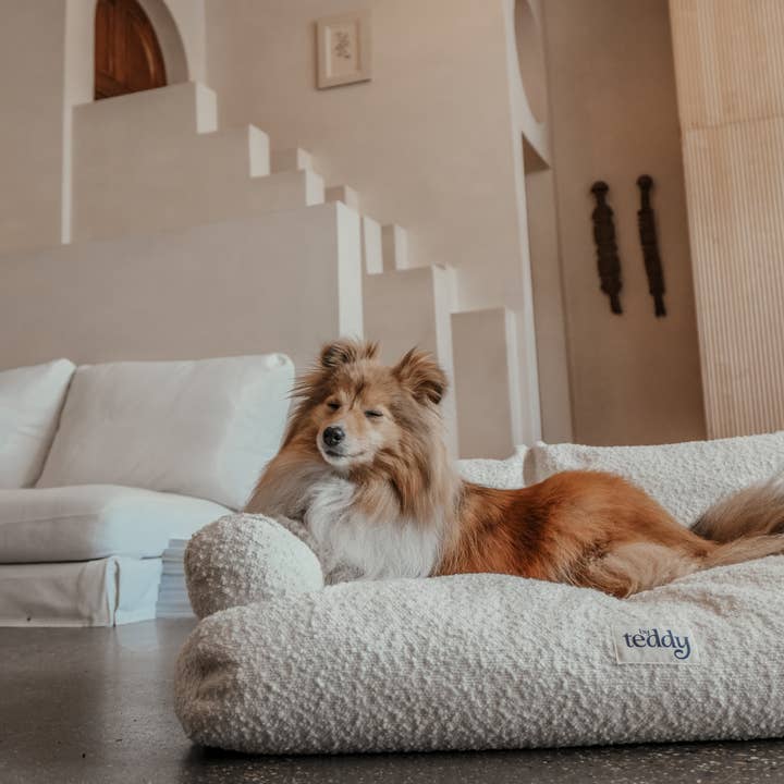By Teddy - Wholesale Pet Bed - Dog - The Teddington Sofa1