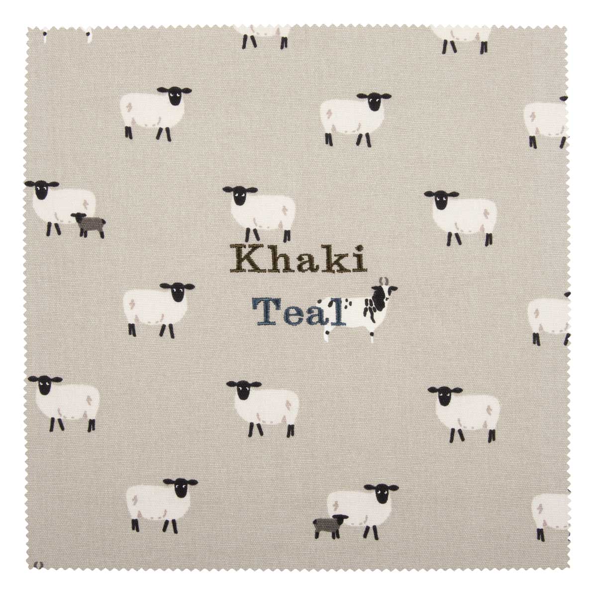 Sophie Allport – wholesale Tea towel – Sheep Tea Towel5